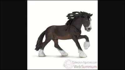 De quelle race est ce Schleich ?