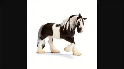 De quelle race est ce Schleich ?