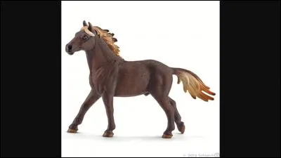 De quelle race est ce Schleich ?