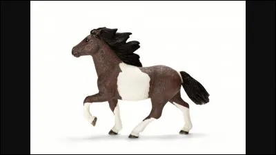 De quelle race est ce Schleich ?