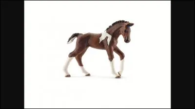 De quelle race est ce Schleich ?