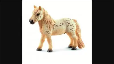 De quelle race est ce Schleich ?