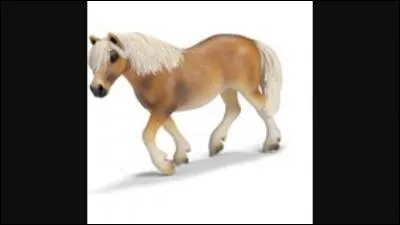 De quelle race est ce Schleich ?
