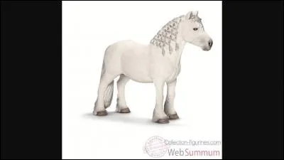 De quelle race est ce Schleich ?