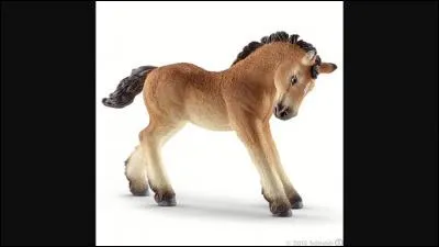 De quelle race est ce Schleich ?