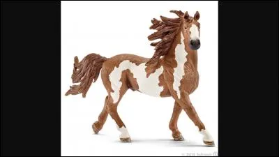 De quelle race est ce Schleich ?