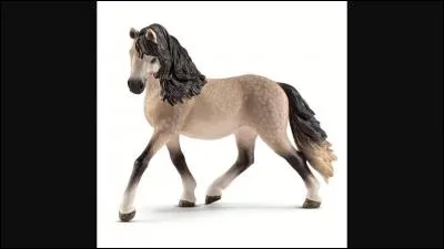 De quelle race est ce Schleich ?