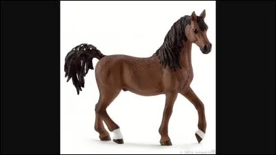 De quelle race est ce Schleich ?