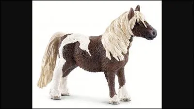 De quelle race est ce Schleich ?