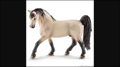 De quelle race est ce Schleich ?