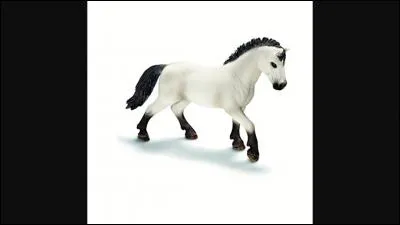 De quelle race est ce Schleich ?