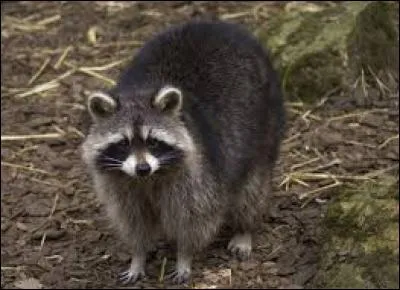 Connais-tu mon nom ?