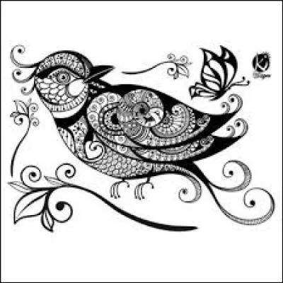 Rassemblement d'oiseaux ou de poissons sur une aire de parade pour la parade nuptiale :