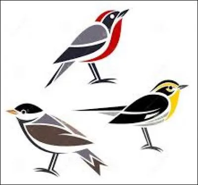 En Belgique, chambre louée à un étudiant :