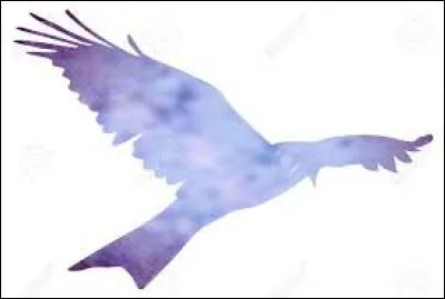 Quatorzième lettre de l'alphabet grec :