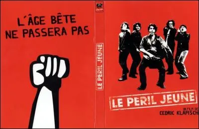 Dans quelle tranche d'âge se situe ce qui est appelé "l'âge bête" ?