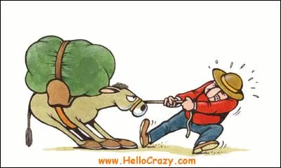 Qu'est-ce qu'une bête de somme ?