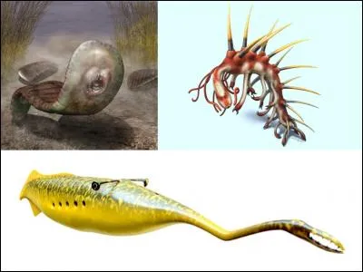 Ces 3 créatures ont-elles réellement existé ?