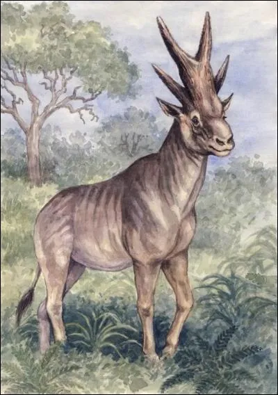 Mammifères préhistoriques : pour les 8 mammifères qui vont suivre 4 d'entres eux ont réellement existé, les 4 autres sont imaginaires. 

Ce mammifère a-t-il réellement existé ?