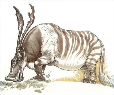 Ce mammifère a-t-il réellement existé ?