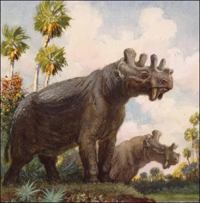 Ce mammifère a-t-il réellement existé ?