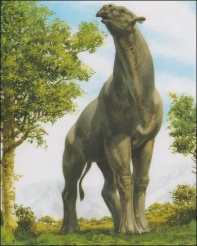 Ce mammifère a-t-il réellement existé ?