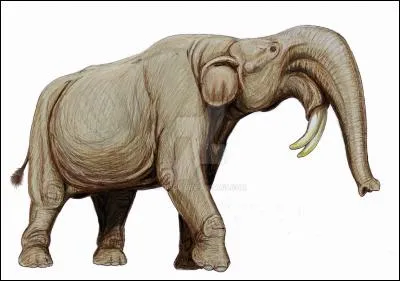 Ce mammifère a-t-il réellement existé ?