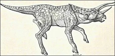 Ce dinosaure à cornes a-t-il réellement existé ?