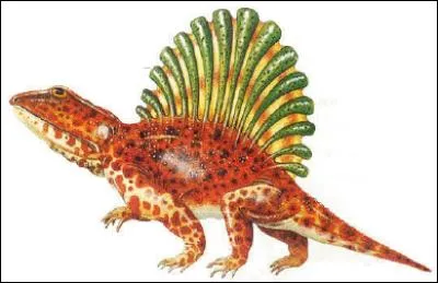Ce reptile à voile a-t-il réellement existé ?