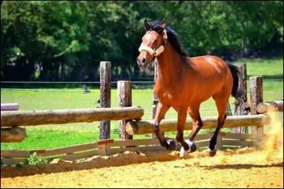 A quel moment cela vous fait-il penser ?