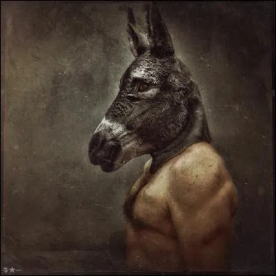 Roi de Phrygie, bien que puissant et aisé, cet homme était cupide et stupide. Qui est-il ?