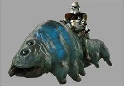 Quelle est cette créature que les soldats du 327ème Corps Stellaire utilisèrent comme monture ?