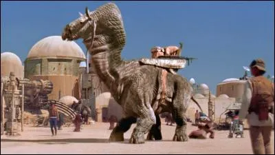 Quelle est cette créature montée par les Jawas, mais très peureuse ?