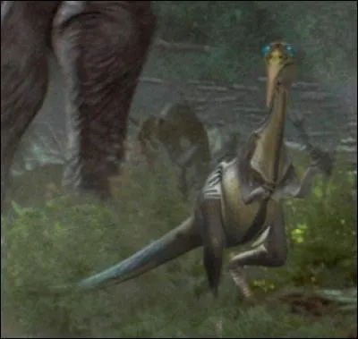 Quelle est cette petite créature qui vit sur Naboo ?