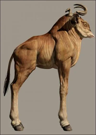 Quelle est cette créature dotée d'une très grande langue ?