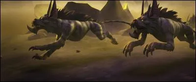 Quelle est cette créature difficilement dressable mais qui est ensuite d'une grande loyauté ?