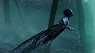 Que repr&eacute;sente les D&eacute;traqueurs d'apr&egrave;s JK Rowling ?