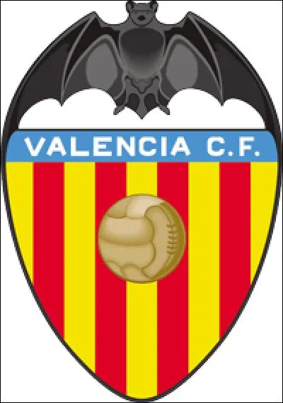 Avec le FC Valence, il atteint la finale de la Ligue des champions en 2001, battu par ...