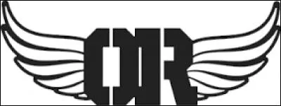 Combien de CD ont-ils sortis ?