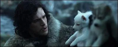 Quels sont les loups Stark encore en vie ?