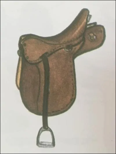 Quelle est cette selle ?