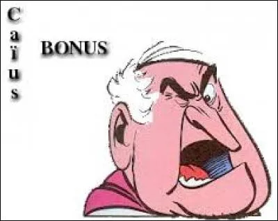 Caïus Bonus est le centurion du camp de Petibonum dans l'album ...