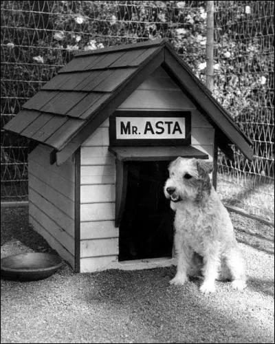 Quel duo d'acteurs forme le couple de la comédie policière "l'Introuvable" (The Thin Man) ?