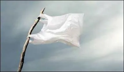 Quelle est la durée pour un sac ou une bouteille en plastique ?