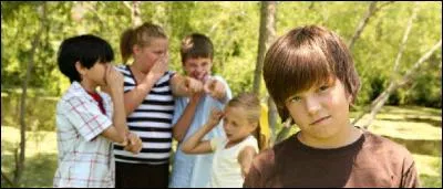 Qu'est-ce qu'une brimade ?