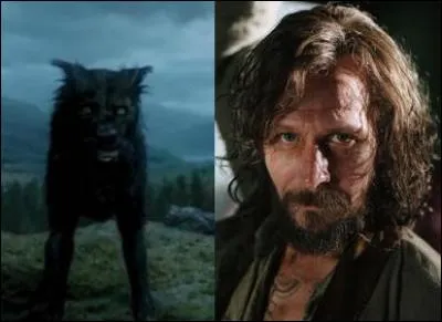 Qui est le parrain de Harry ?