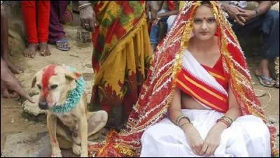 Le mariage d'un être humain avec un animal existe-t-il ?
