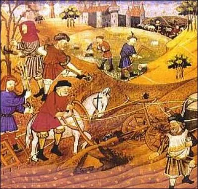 Au XIVe siècle, quel nom donnait-on aux paysans ?