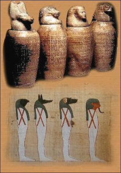 Qui est/sont le(s) fils d'Horus et le(s) protecteur(s) des organes des morts ?