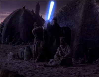 Dans Star Wars épisode 2, pour quelle raison Anakin, après s'être rendu sur Tatooine, a-t-il exterminé tous les Tuskens ?